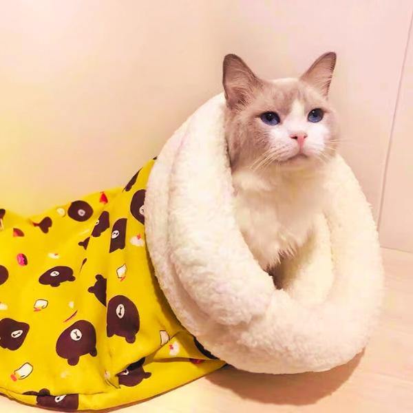 Cat Bed